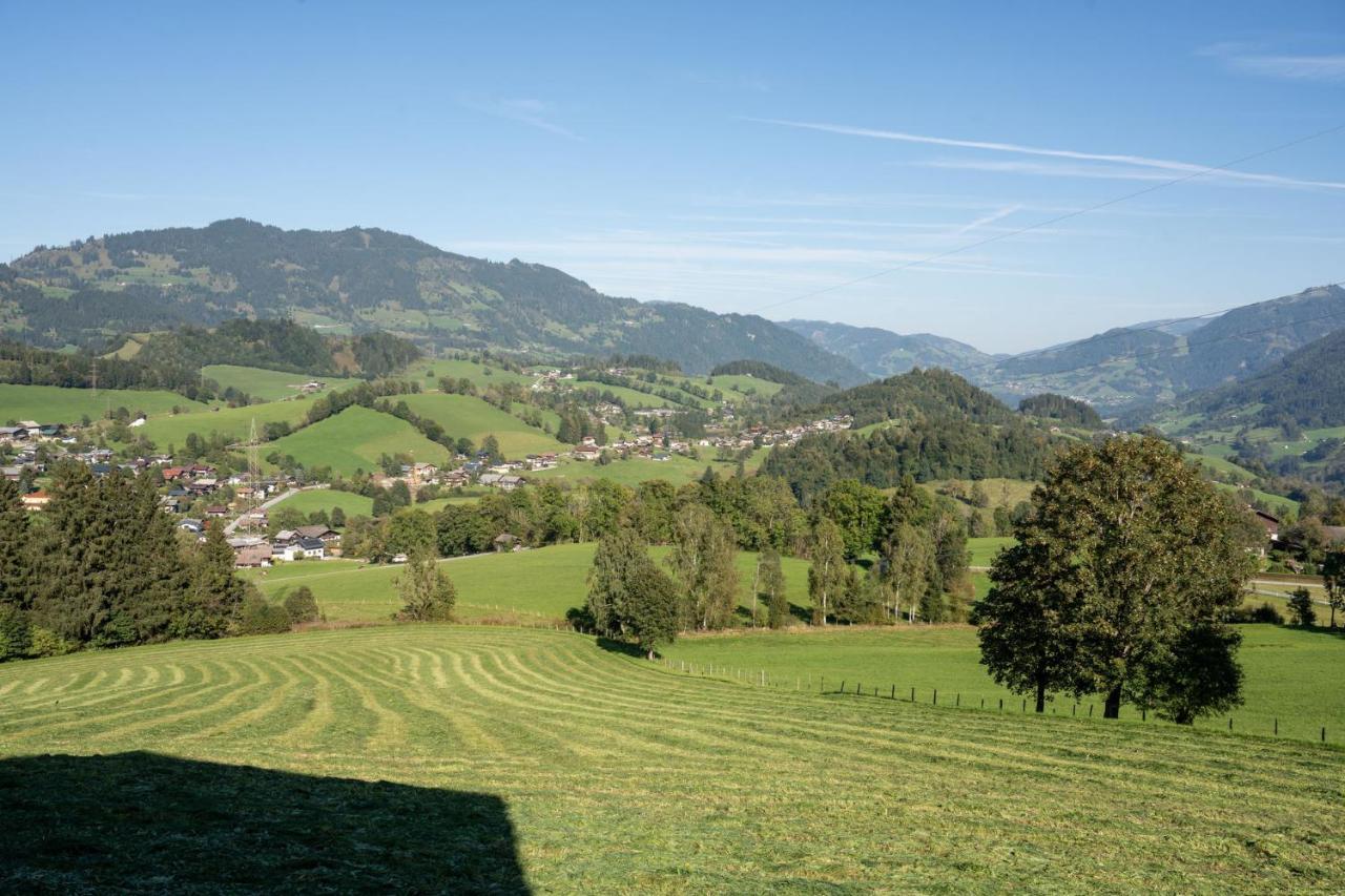 Knollgut Ferienwohnung Buchberg Goldegg Bagian luar foto